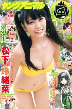 忍者龙剑传3